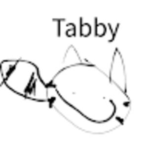 Meet your Posher, Tabby